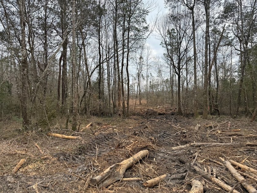 Partially cleared land offering a nice balance of open space and - photo 2
