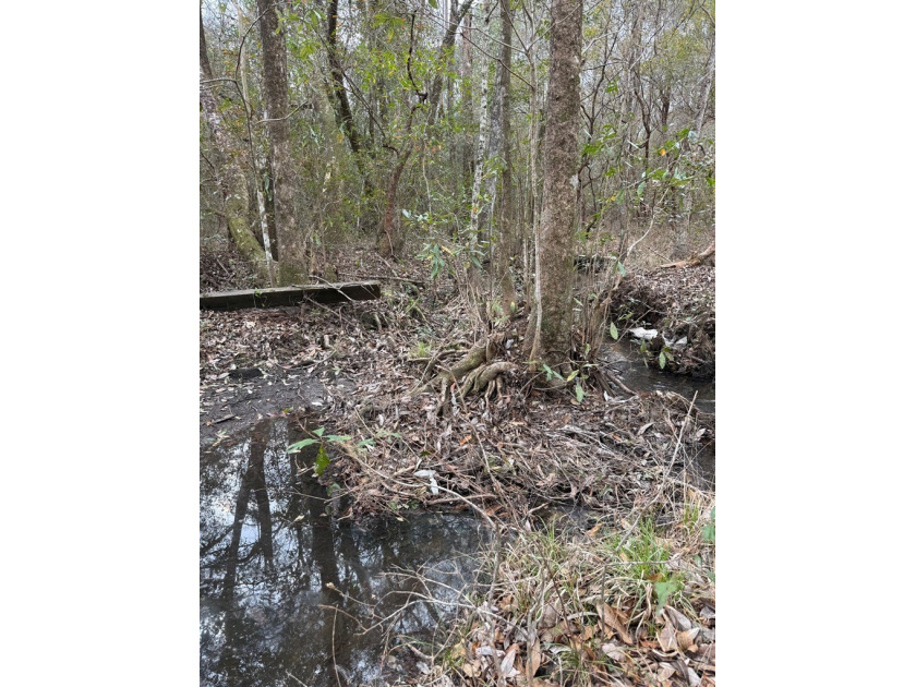 Partially cleared land offering a nice balance of open space and - photo 4