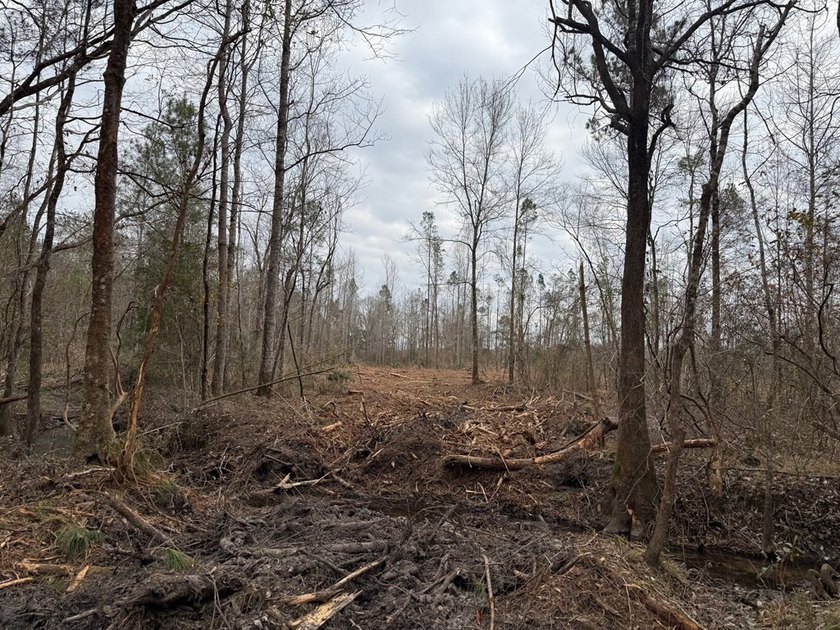 Partially cleared land offering a nice balance of open space and - photo 5
