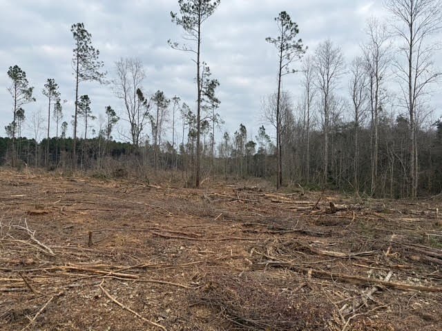 Partially cleared land offering a nice balance of open space and - photo 9