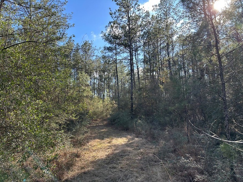 Beautiful secluded property around 8 miles Southeast of - photo 7
