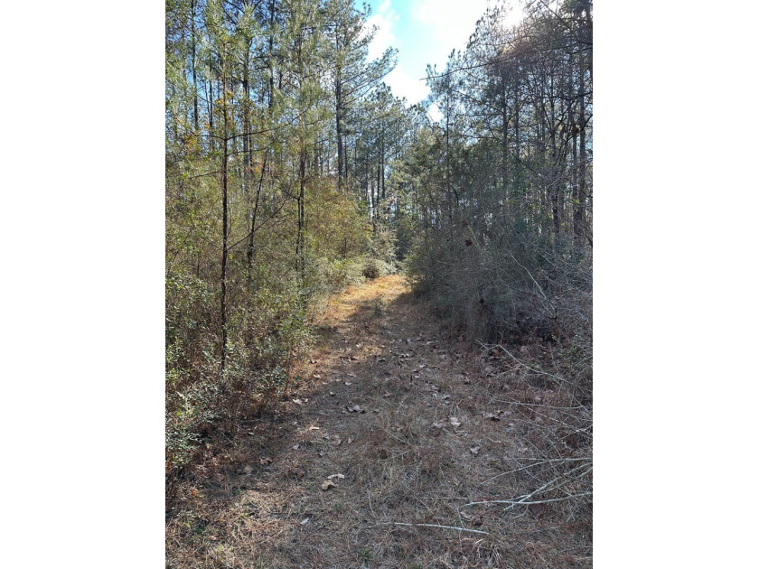 Beautiful secluded property around 8 miles Southeast of - photo 8