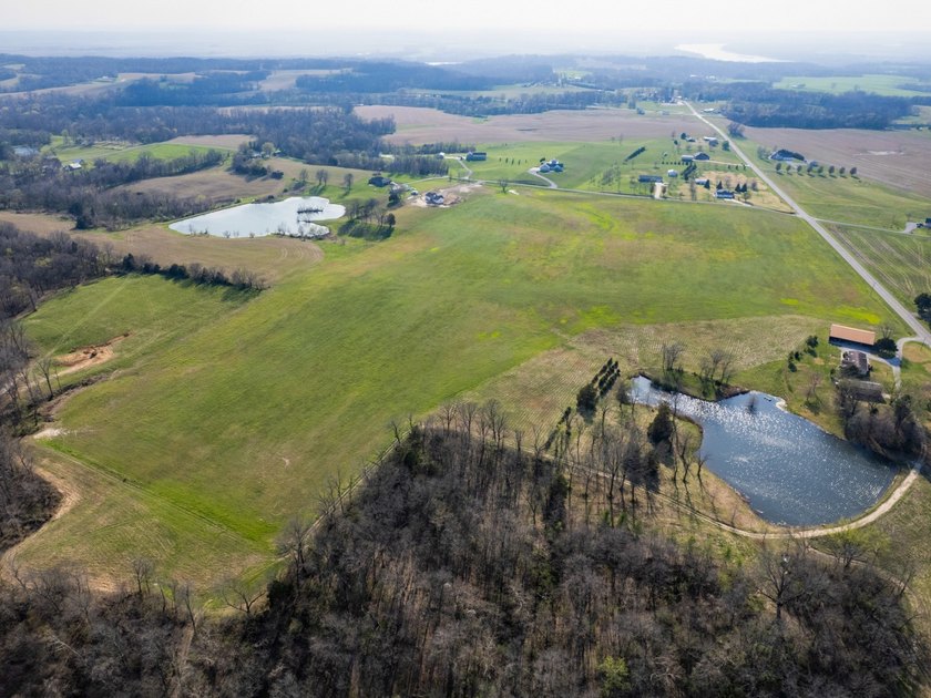 This 35.75+/- acre tract in Randolph County, Illinois offers an - photo 4