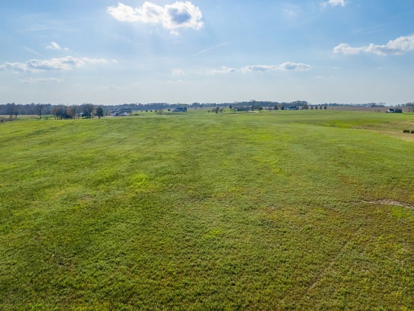 This 35.75+/- acre tract in Randolph County, Illinois offers an - photo 10
