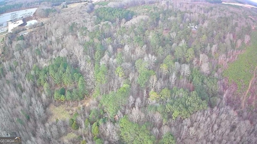Exceptional opportunity on 29+ acres in a highly strategic - photo 13