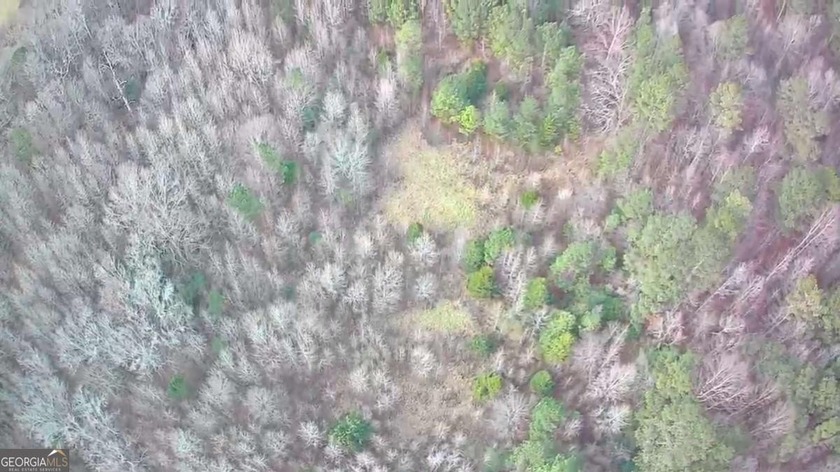Exceptional opportunity on 29+ acres in a highly strategic - photo 14