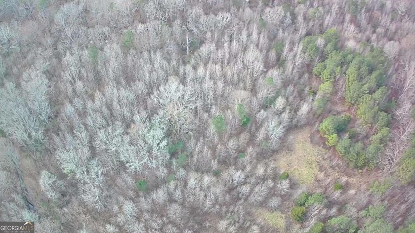 Exceptional opportunity on 29+ acres in a highly strategic - photo 15