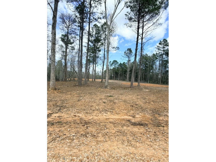 PERFECT location for your dream house. Secluded partially wooded - photo 2