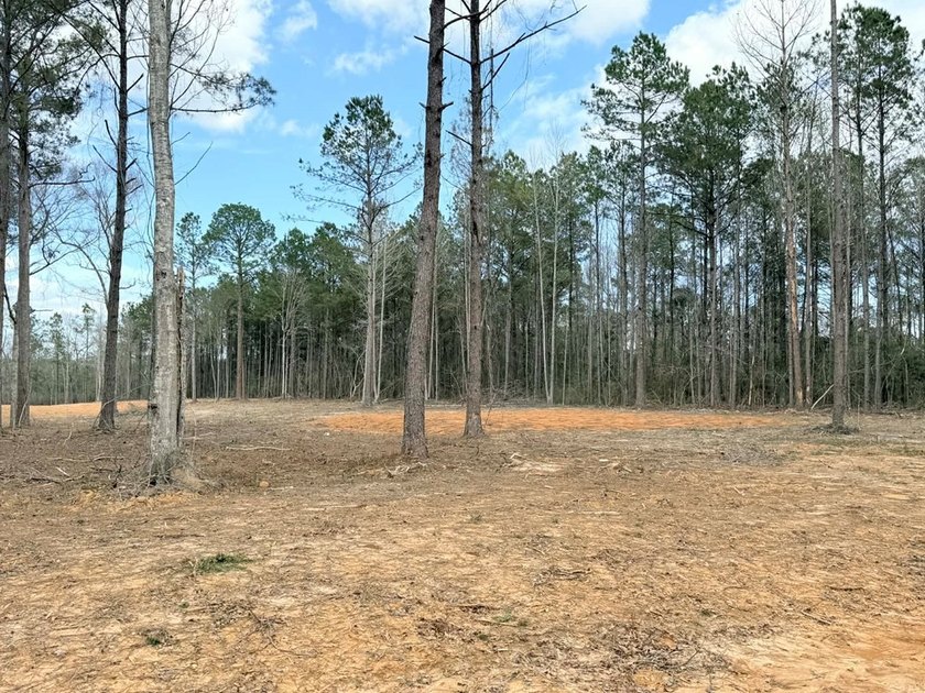 PERFECT location for your dream house. Secluded partially wooded - photo 4