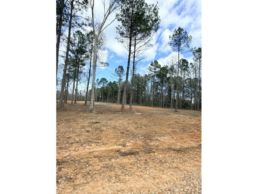 PERFECT location for your dream house. Secluded partially wooded - photo 9
