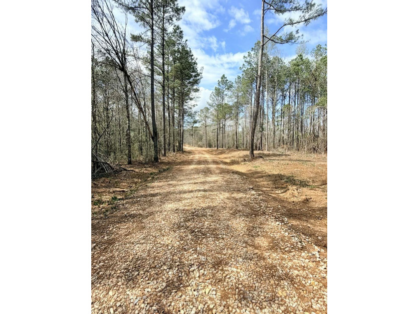 Perfect location for your dream house. Secluded partially wooded - photo 3