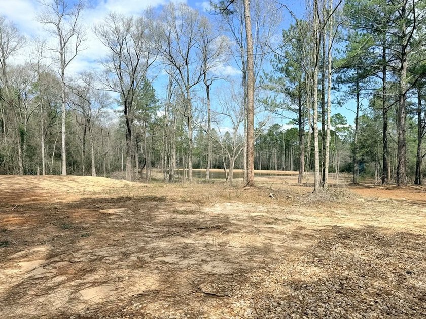 Perfect location for your dream house. Secluded partially wooded - photo 5