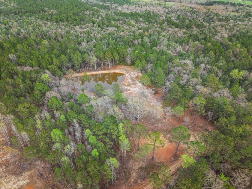 Perfect location for your dream house. Secluded partially wooded - photo 7