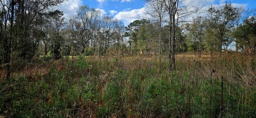 Prime Commercial or Residential Opportunity in Poplarville! This - photo 5