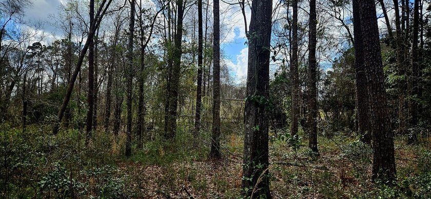 Prime Commercial or Residential Opportunity in Poplarville! This - photo 6