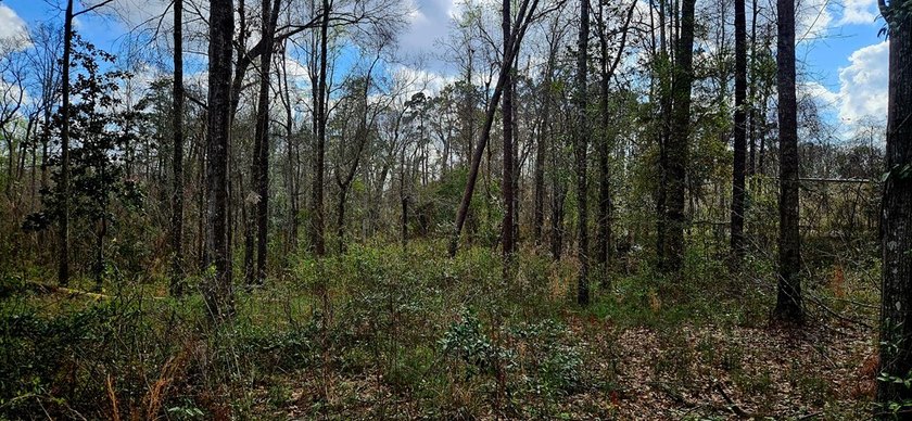 Prime Commercial or Residential Opportunity in Poplarville! This - photo 7