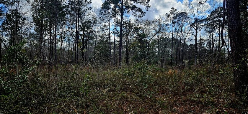 Prime Commercial or Residential Opportunity in Poplarville! This - photo 10
