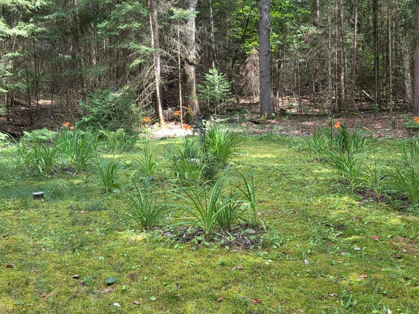 Where the Pines Whisper and Memories Begin. Tucked among - photo 48