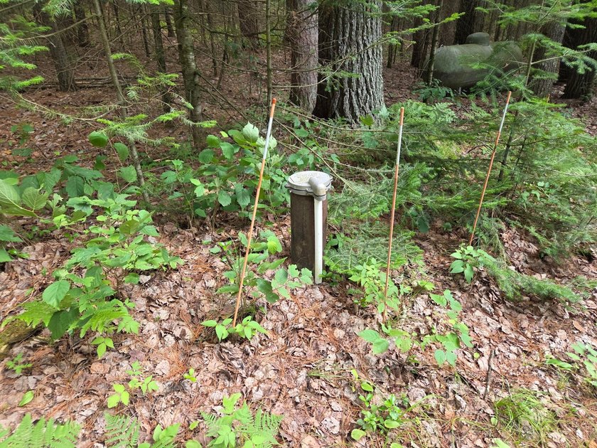 Where the Pines Whisper and Memories Begin. Tucked among - photo 49