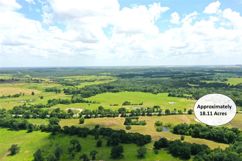 Approx. 18 acres near Donie with lots of road frontage on Hwy - photo 4