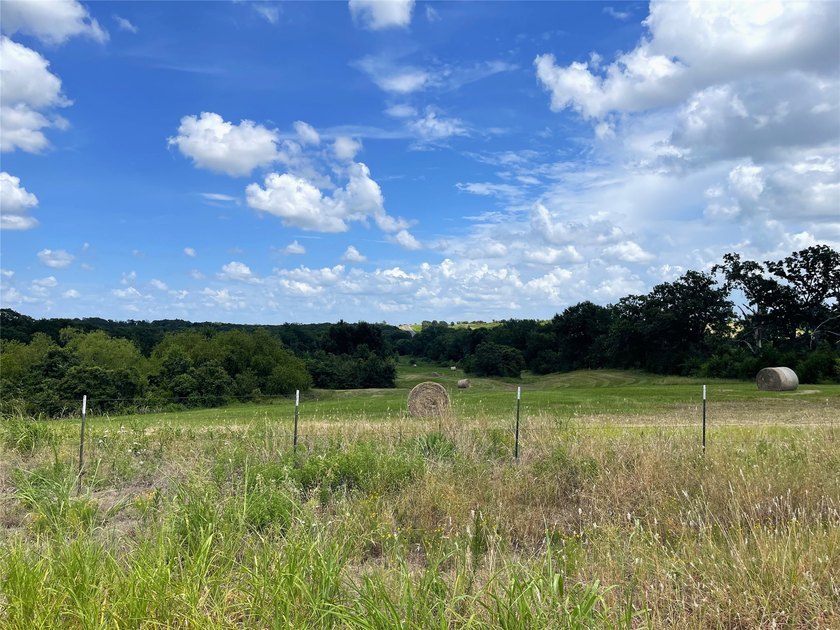 Approx. 18 acres near Donie with lots of road frontage on Hwy - photo 6
