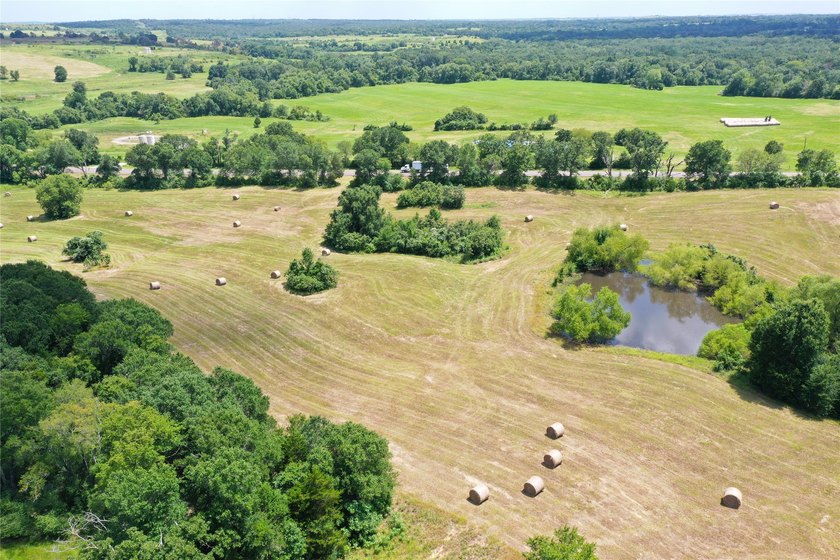 Approx. 18 acres near Donie with lots of road frontage on Hwy - photo 8