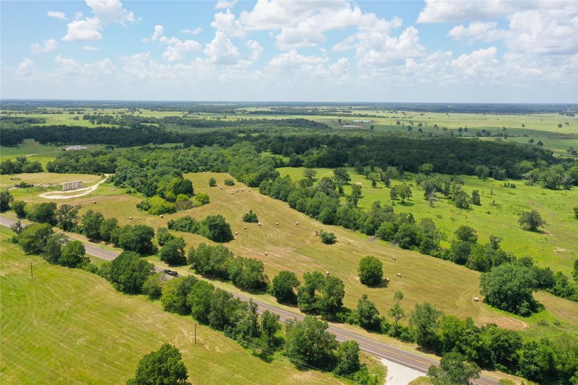 Approx. 18 acres near Donie with lots of road frontage on Hwy - photo 9