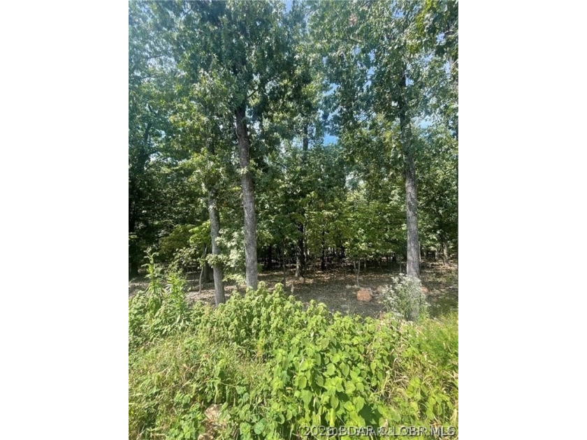 37 Legacy Ln - photo 4