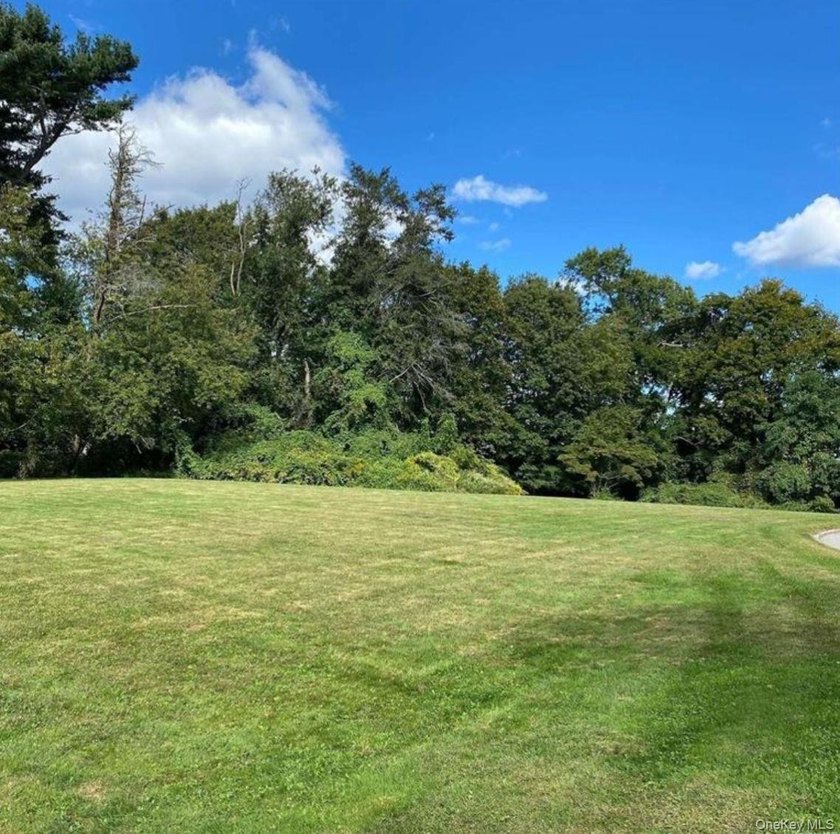 Superb Opportunity To Build Your Dream Home On The North Shore - photo 5