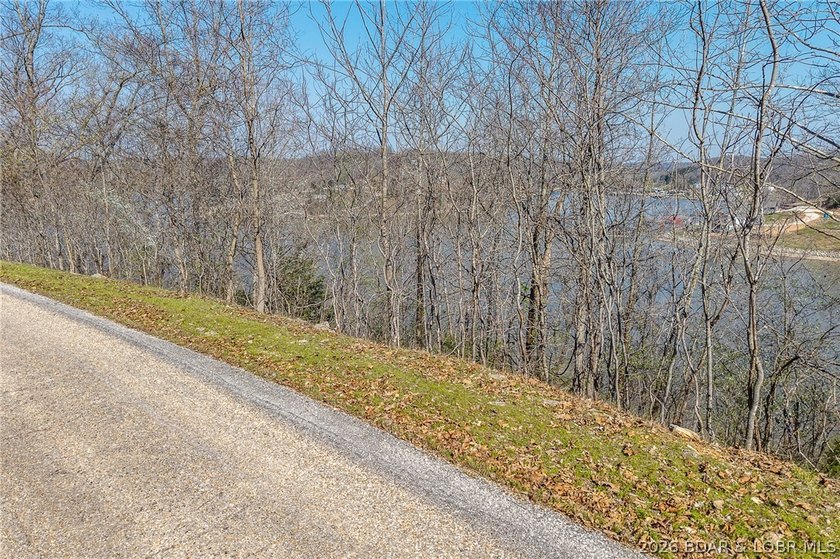 Lake Front lot ready for your dream home build! Located at the - photo 7