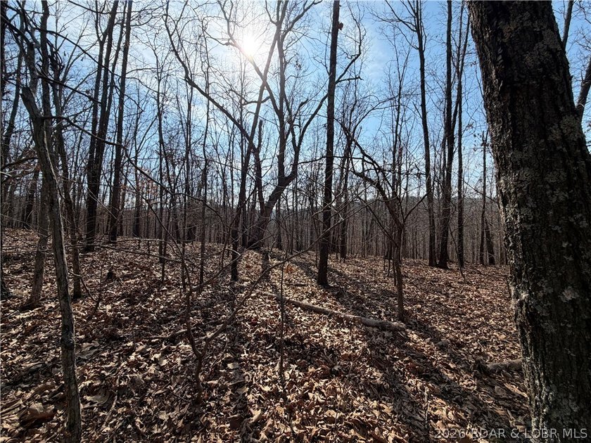 Great 5 acres of land located just outside of Camden County's - photo 5