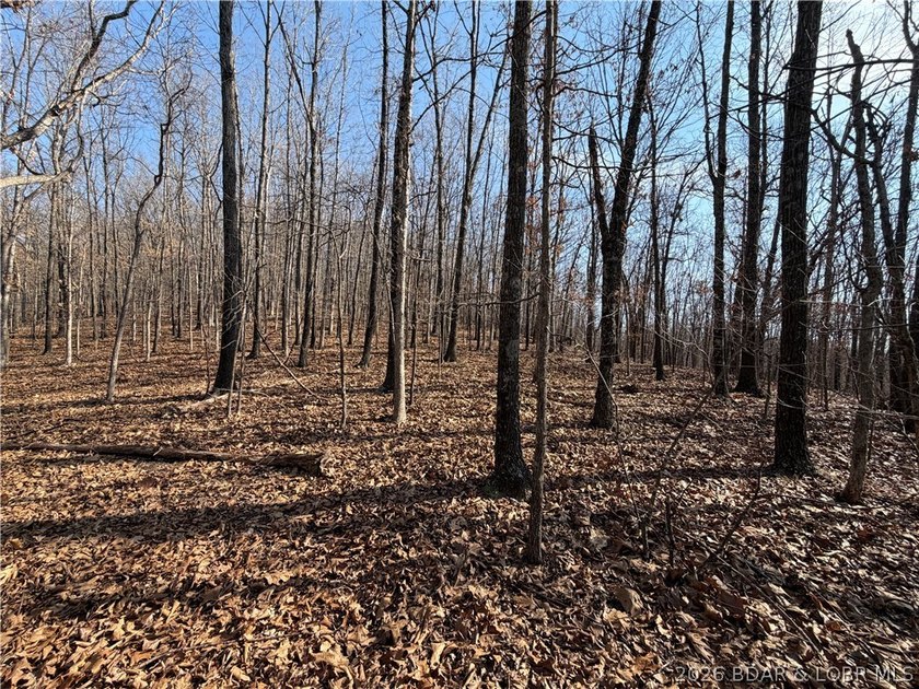 Great 5 acres of land located just outside of Camden County's - photo 6