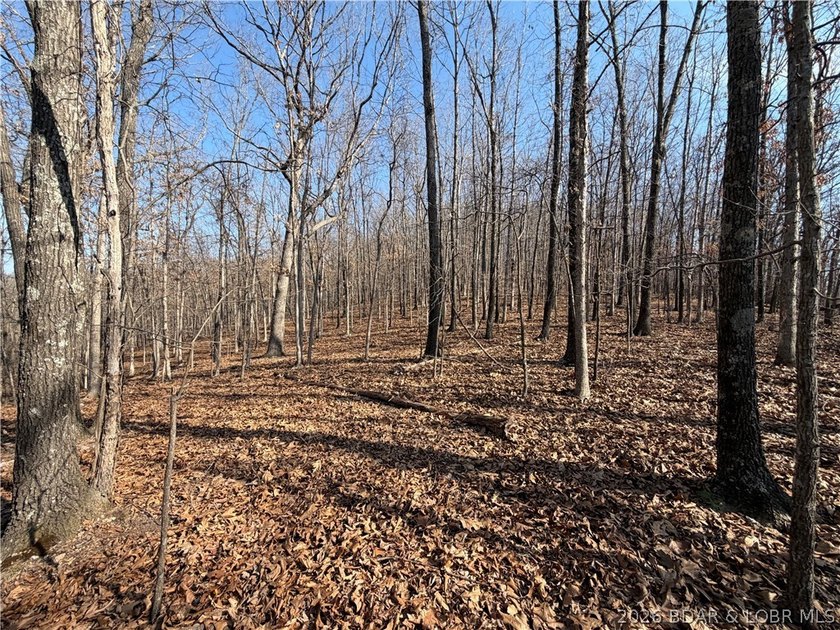 Great 5 acres of land located just outside of Camden County's - photo 7
