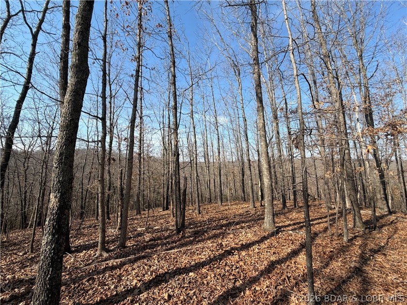 Great 5 acres of land located just outside of Camden County's - photo 8