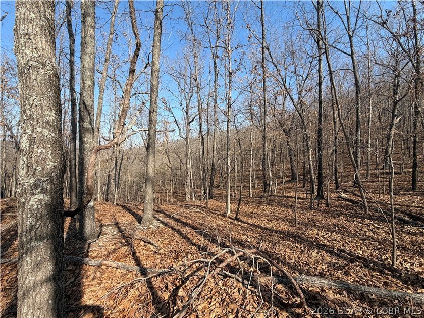 Great 5 acres of land located just outside of Camden County's - photo 10