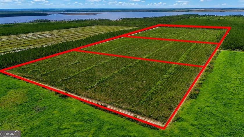 Welcome to 10.5+/- high &amp; dry acres along Allanton Rd, Panama - photo 3