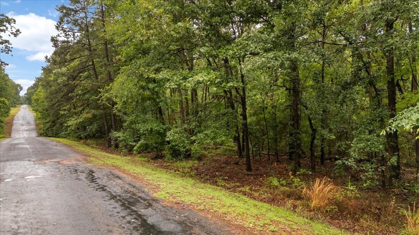 Tucked beneath a canopy of mature trees, this beautiful .33-acre - photo 3