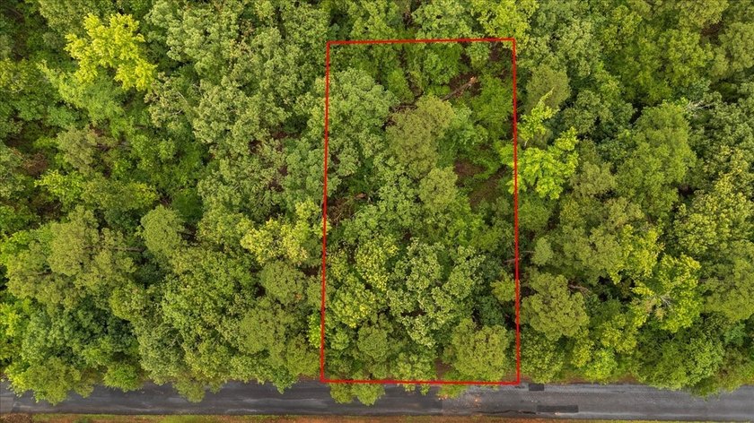 Tucked beneath a canopy of mature trees, this beautiful .33-acre - photo 6