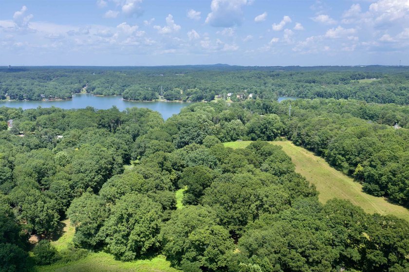 33.25 ACRES ON LAKE BLALOCK- A RARE OPPORTUNITY! Discover the - photo 14
