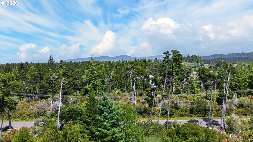Beautifully updated and meticulously maintained, this 1 - photo 36