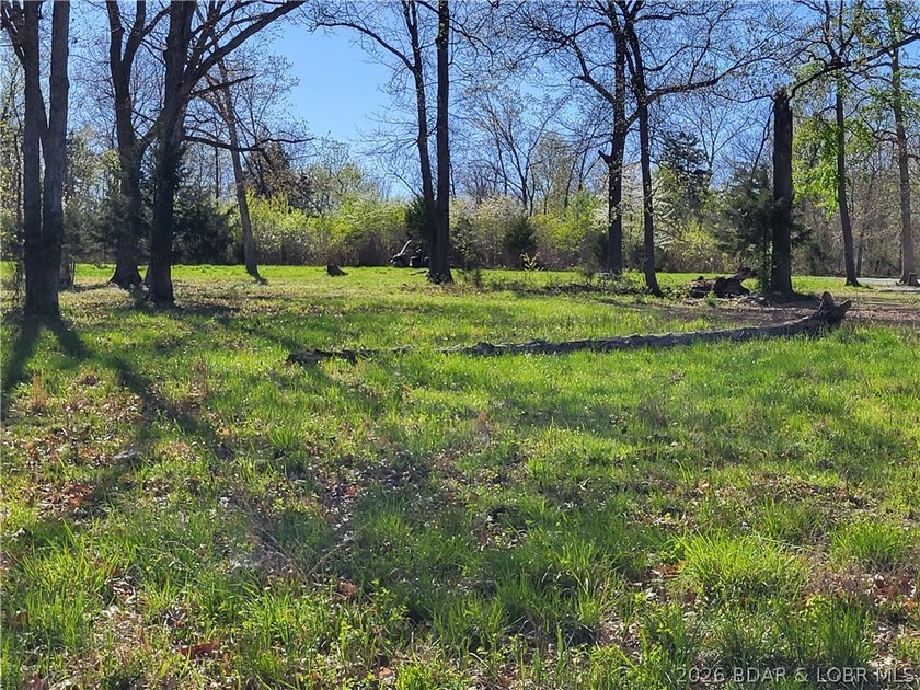 Own a prime piece of lakefront property at Lake of the Ozarks! - photo 2
