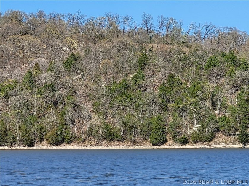 Own a prime piece of lakefront property at Lake of the Ozarks! - photo 6