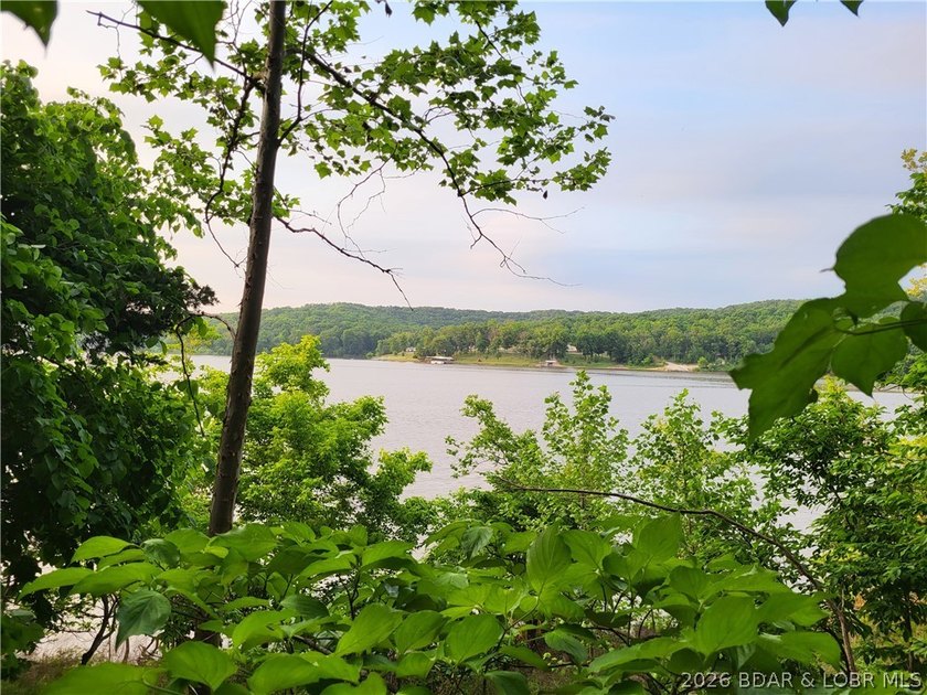 Build your lake dream on this 0.85-acre lot located at the 63MM - photo 4