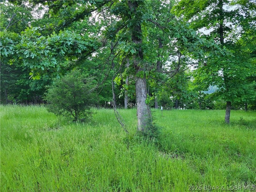Build your lake dream on this 0.85-acre lot located at the 63MM - photo 5