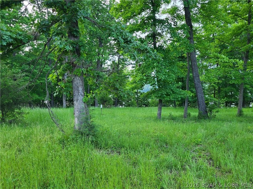 Build your lake dream on this 0.85-acre lot located at the 63MM - photo 6