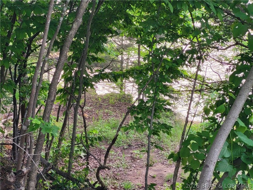 Build your lake dream on this 0.85-acre lot located at the 63MM - photo 7