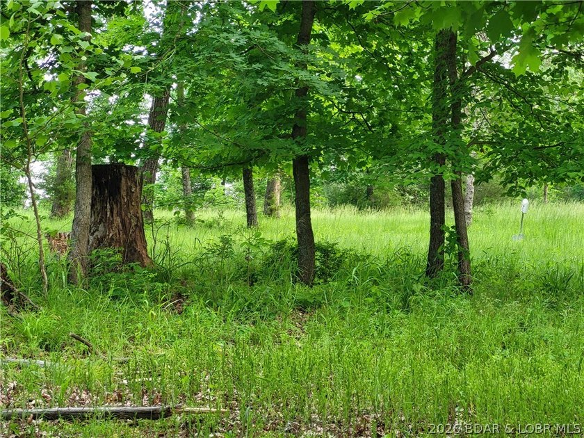 Build your lake dream on this 0.85-acre lot located at the 63MM - photo 8