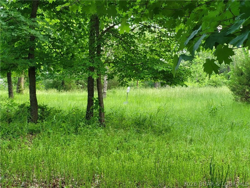Build your lake dream on this 0.85-acre lot located at the 63MM - photo 9