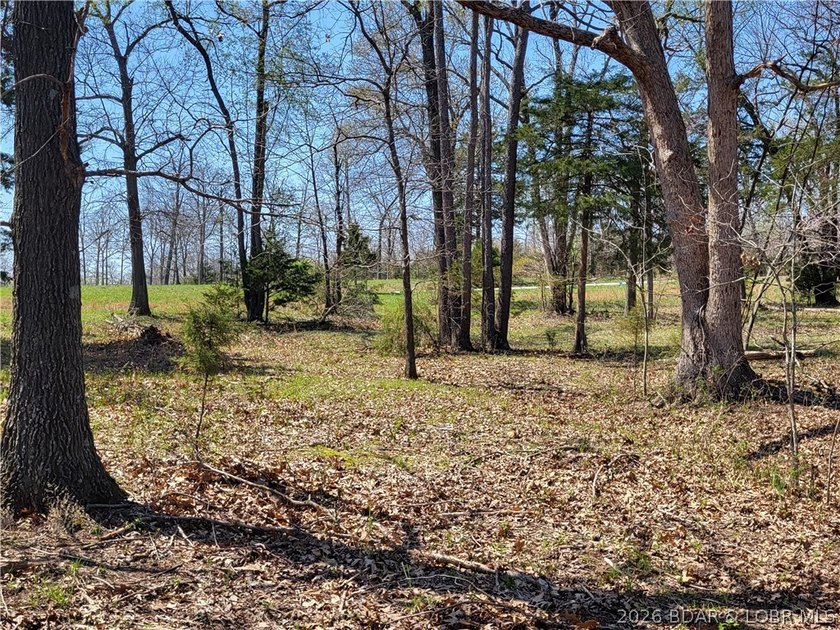 Discover the ideal setting for your lakefront dream home on the - photo 4