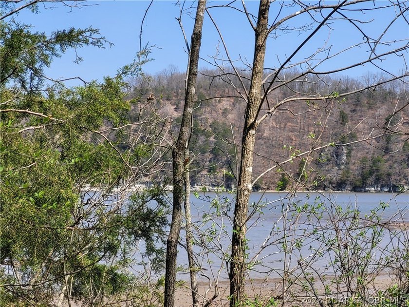 Enjoy the best of lake living on the beautiful Lake of the - photo 2